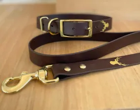 Brass dog collar set, heavy duty