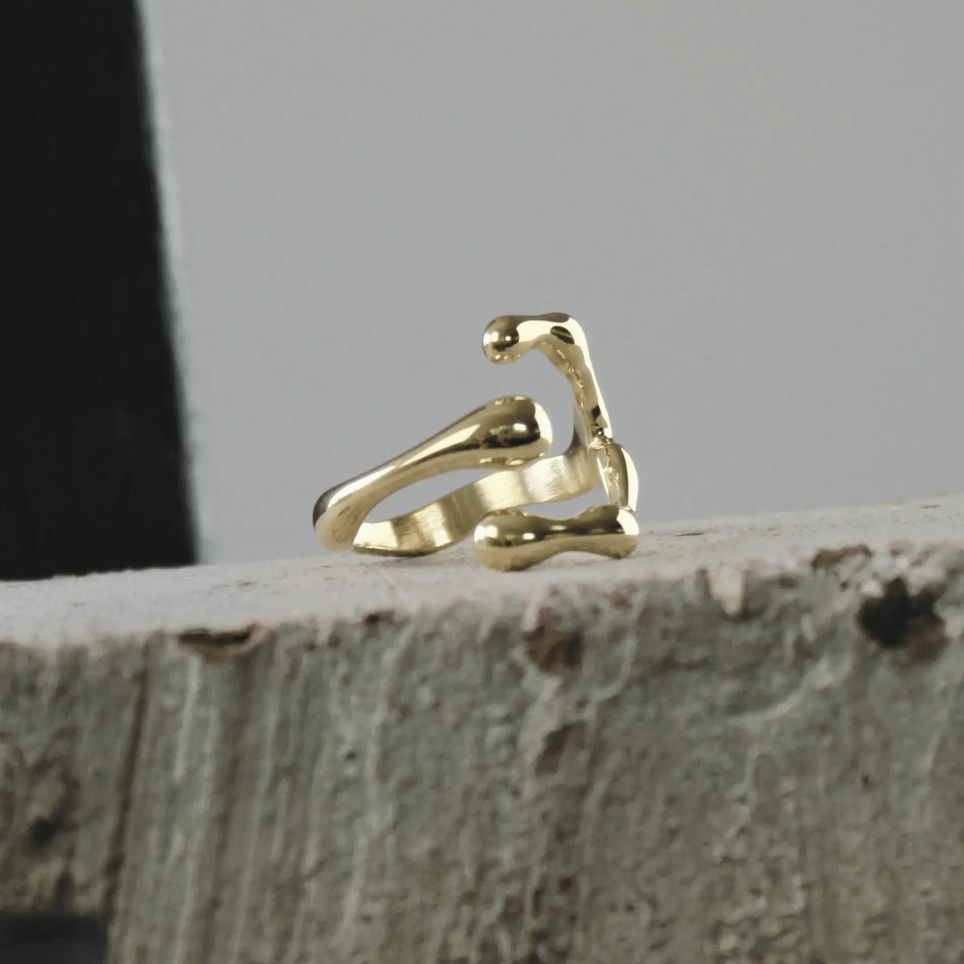 Courage Waterproof Lucky Ring 18K Gold Plating