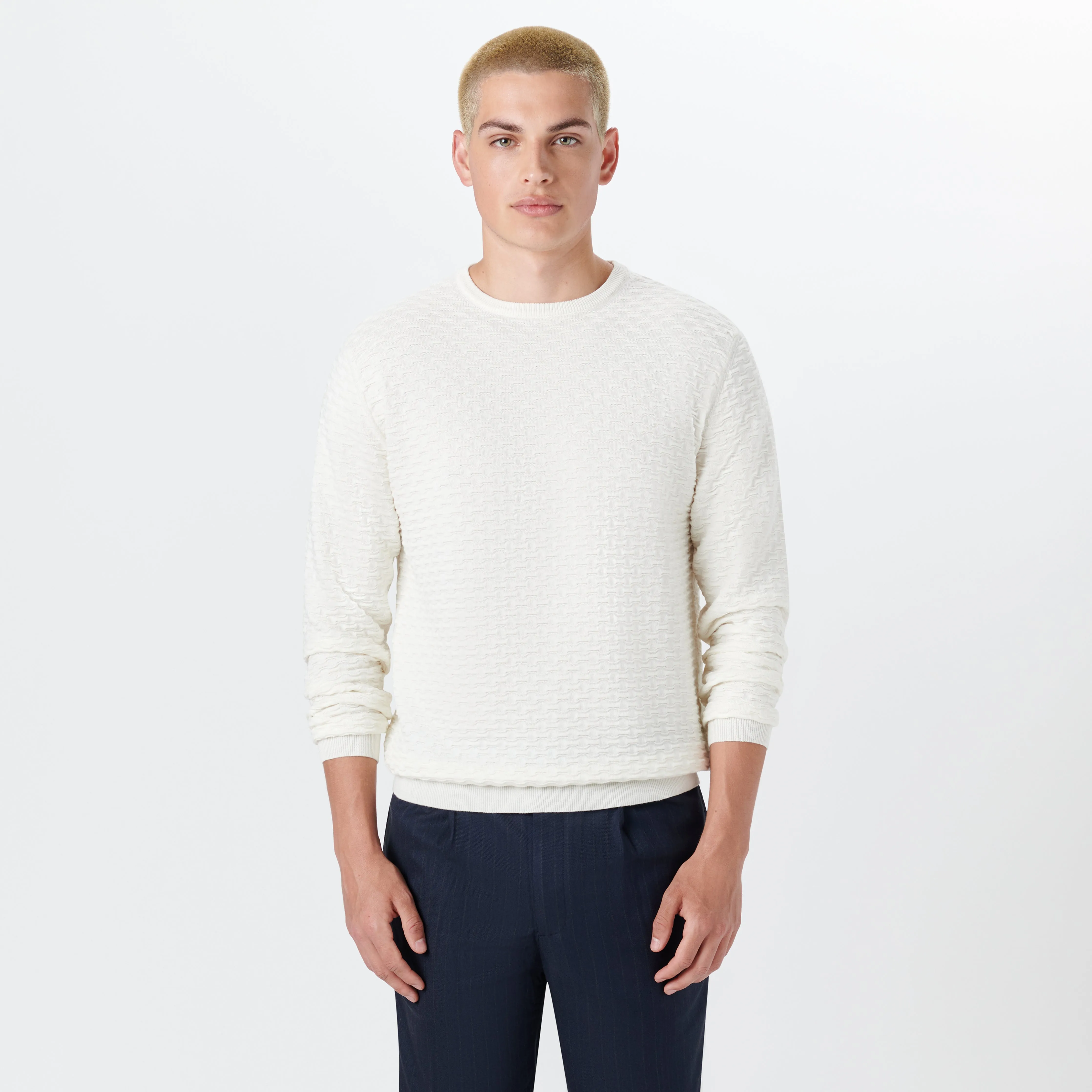 Crew Neck Jacquard Wave Sweater