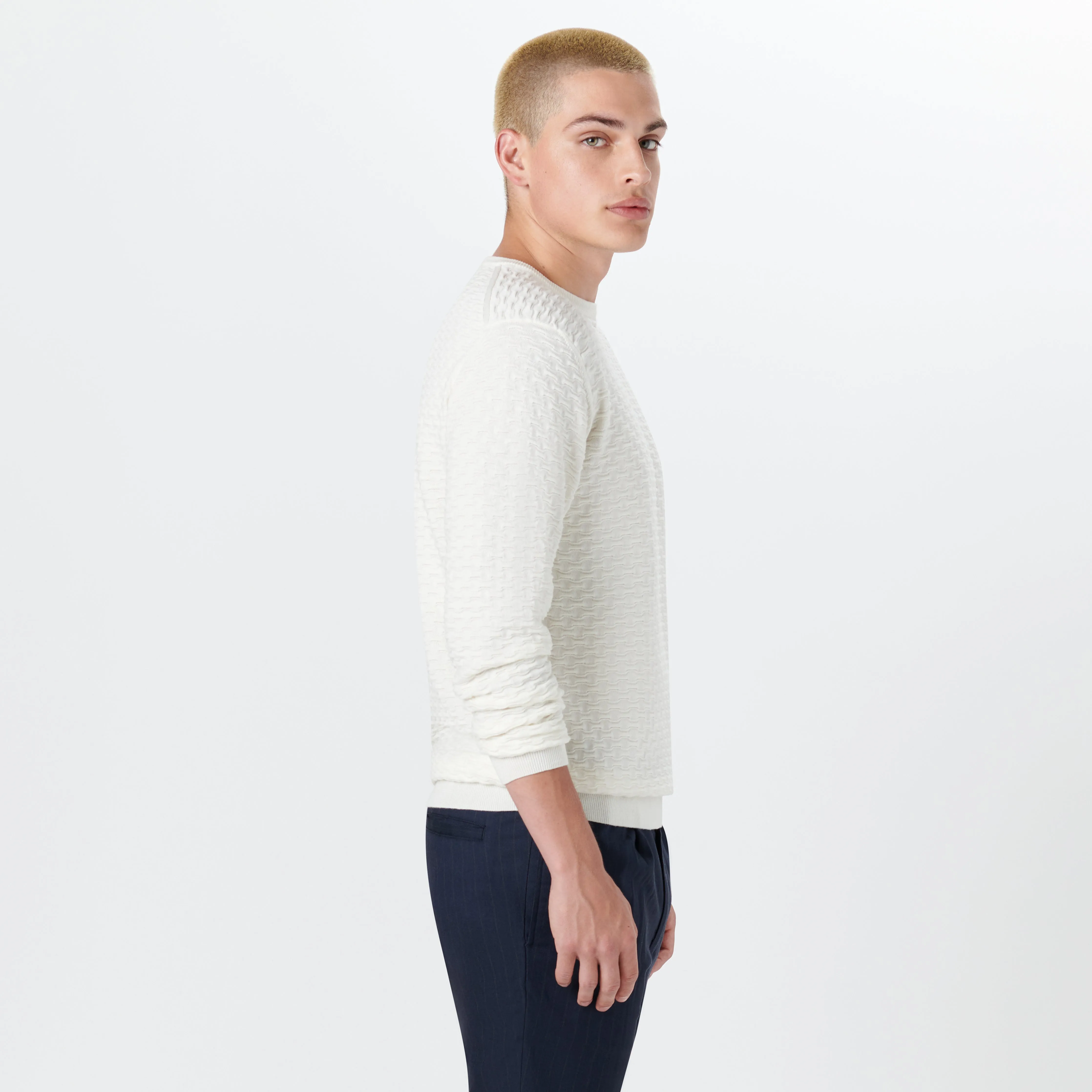 Crew Neck Jacquard Wave Sweater