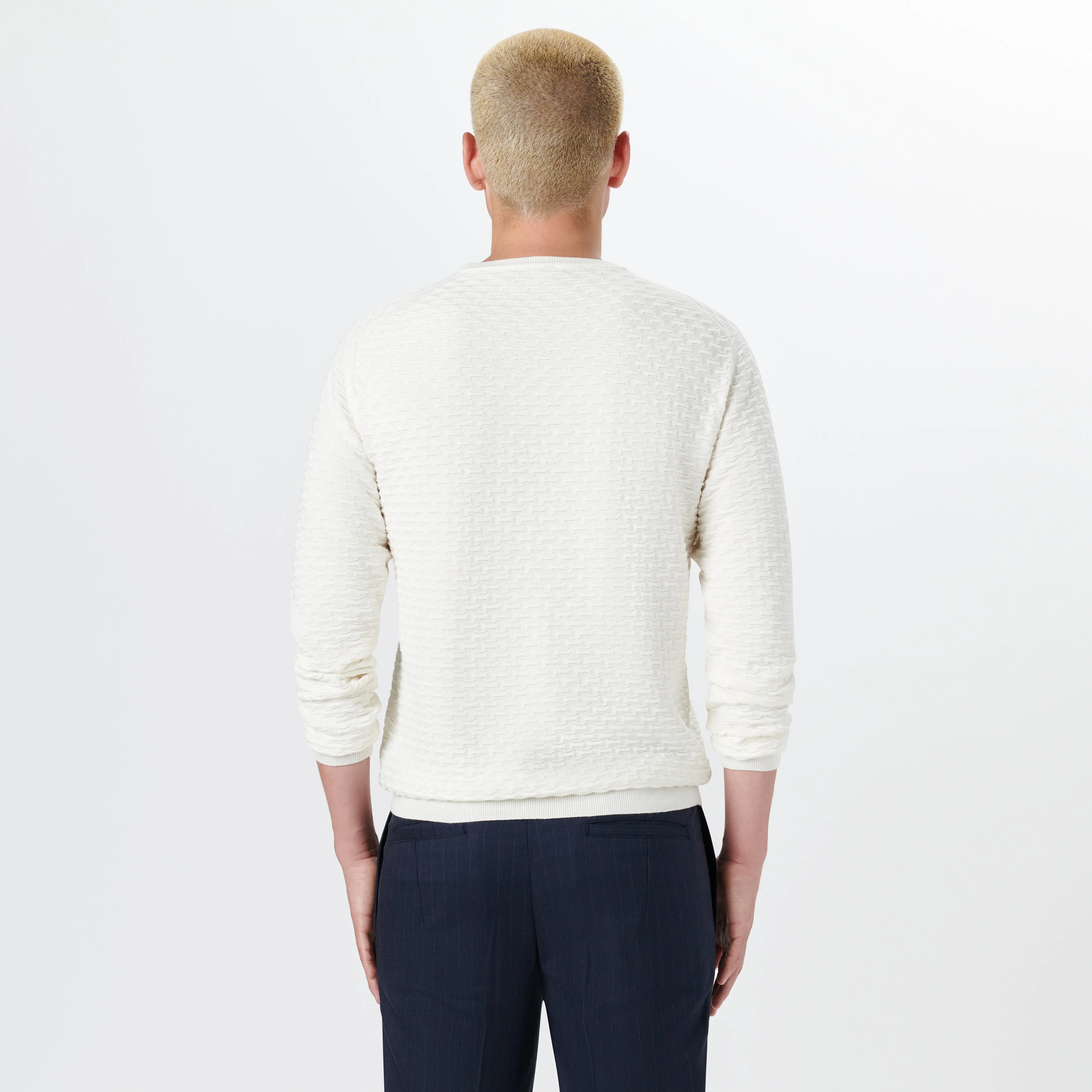 Crew Neck Jacquard Wave Sweater