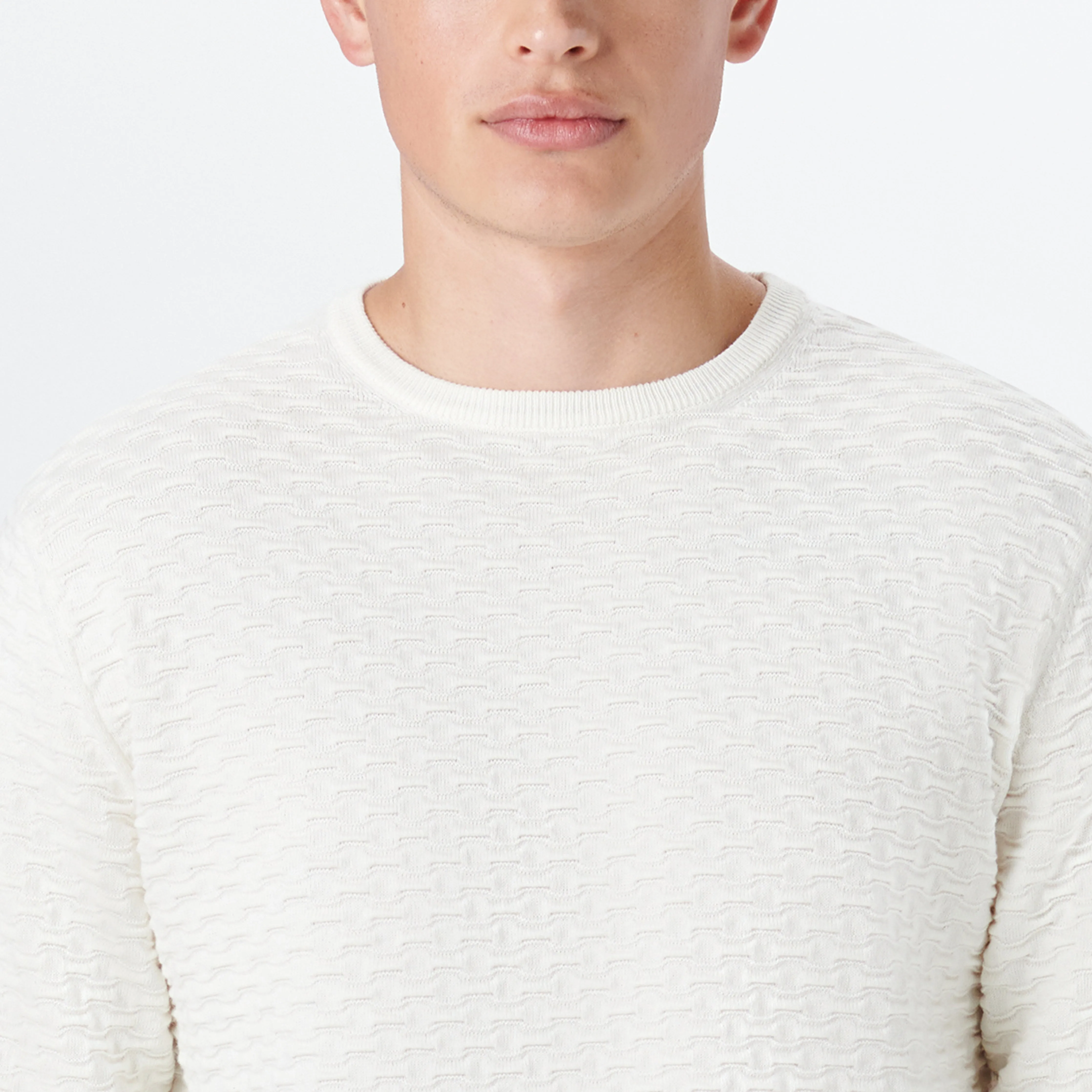 Crew Neck Jacquard Wave Sweater