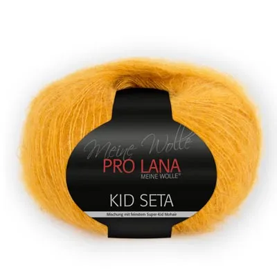 Pro Lana Kid Seta